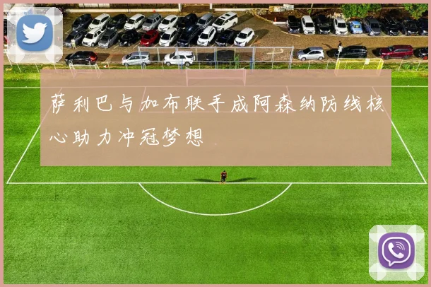 萨利巴与加布联手成阿森纳防线核心助力冲冠梦想
